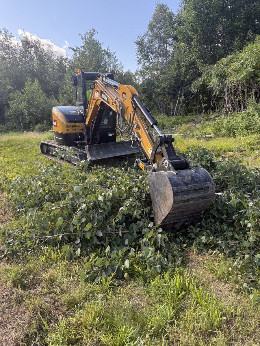 DeMillo's Excavation mini excavator clearing brush and land in Maine
