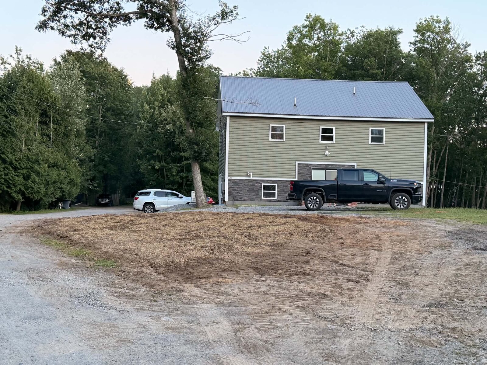 Yard after stump removal and seeding, evening light